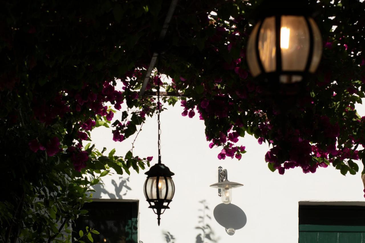 Don Alfonso Dimora D'Epoca Bed & Breakfast Racale Exterior photo